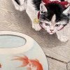 Kibifufu-Cat and Fish Jigsaw Puzzle 500pcs