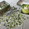Green Jigsaw Puzzle (4) 500 Piece Puzzle-Seren Art-Green