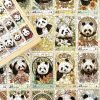 Panda Family Puzzle (2) 1000pcs Jigsaw Puzzle-Botop-Panda Family