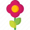 Boff-1000pcs Jigsaw Puzzle-Phoenix Crown