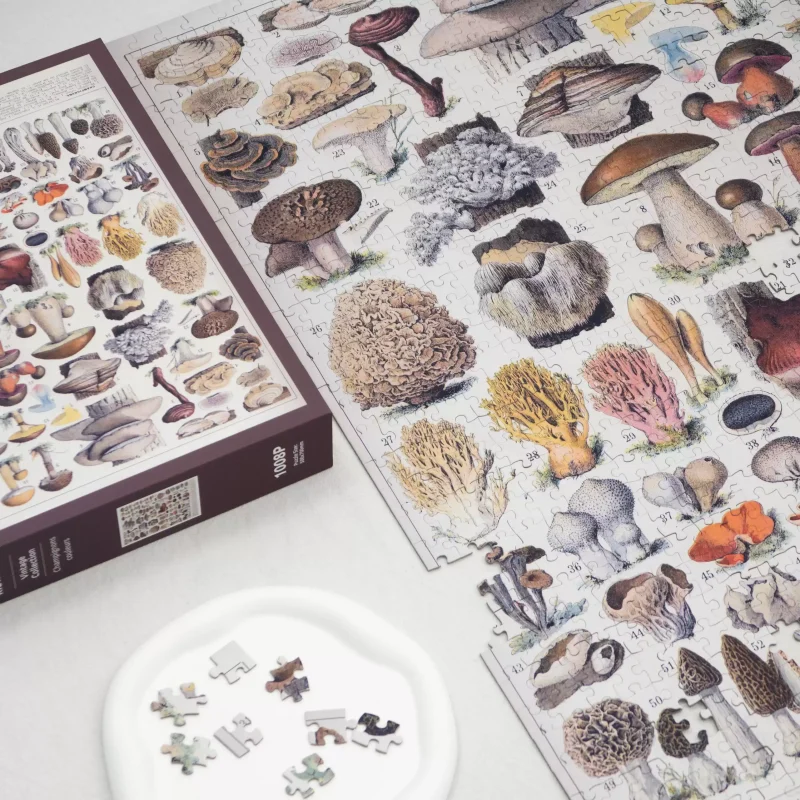 1000 Jigsaw Puzzle-Kibifufu-Mushroom Illustrations
