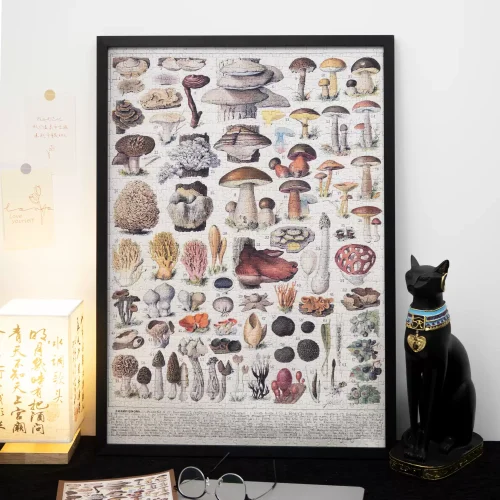 1000 Jigsaw Puzzle-Kibifufu-Mushroom Illustrations