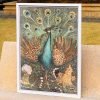 1000 Jigsaw Puzzle-Kibifufu-Peacock