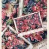 1000pcs Jigsaw Puzzle-JYPUZ-Pomegranate