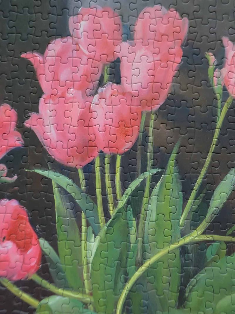 500pcs Jigsaw Puzzle-See the Elephant-Rosa Tulpaner