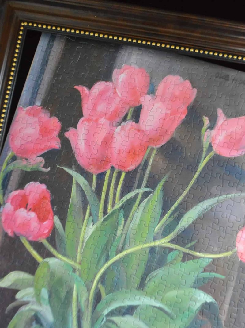 500pcs Jigsaw Puzzle-See the Elephant-Rosa Tulpaner