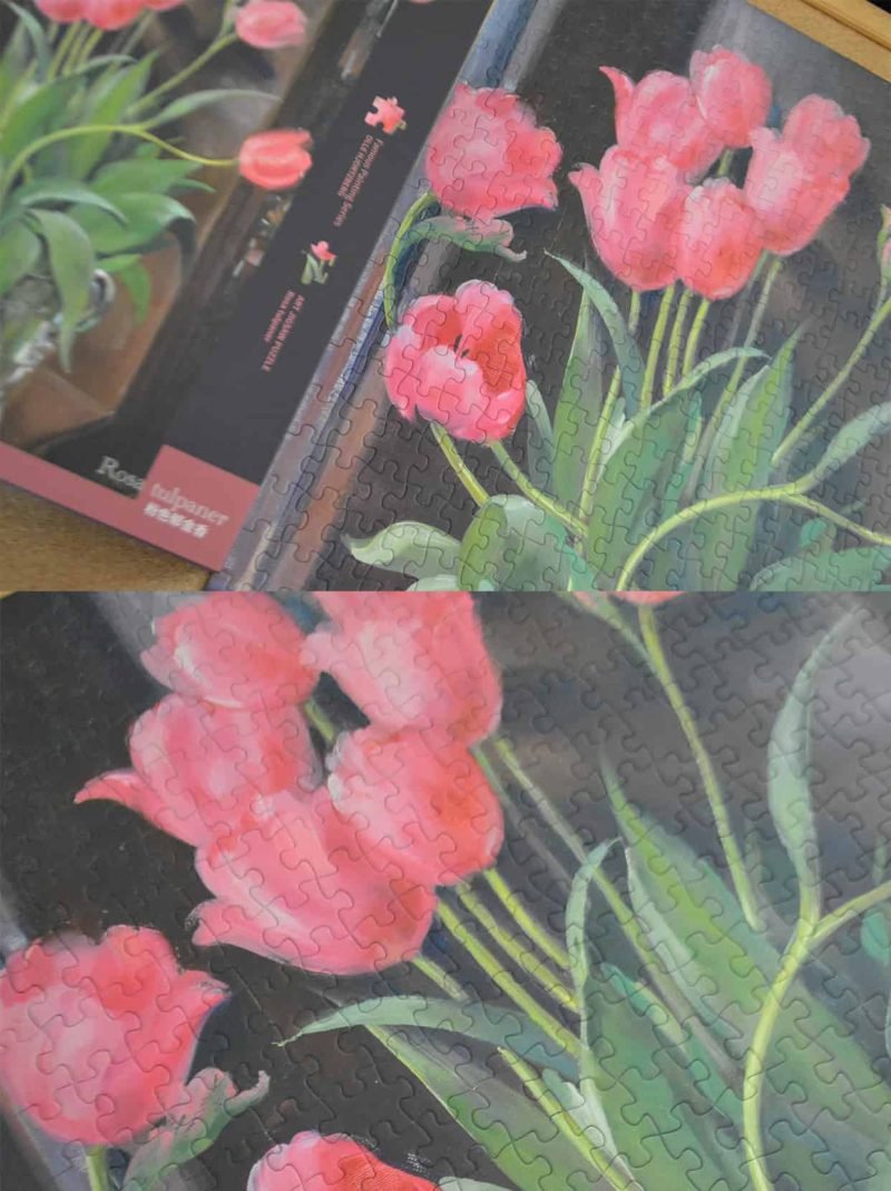 500pcs Jigsaw Puzzle-See the Elephant-Rosa Tulpaner