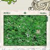 Green Wilderness (2) Double-sided Puzzle 1000pcs-Pickstars-Green Wilderness