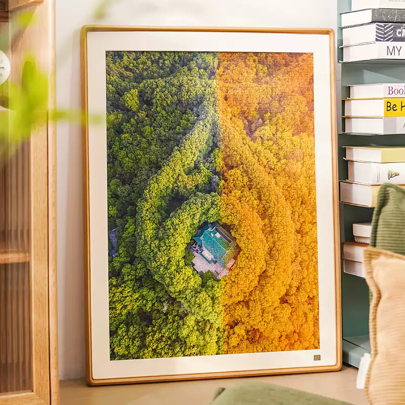 1000pcs Jigsaw Puzzle-Toi-Meiling Palace