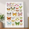 1000 Jigsaw Puzzle-Gill Lill-The Butterfly