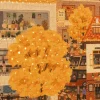 Youthwill-500pcs Jigsaw Puzzle-Autumn Day
