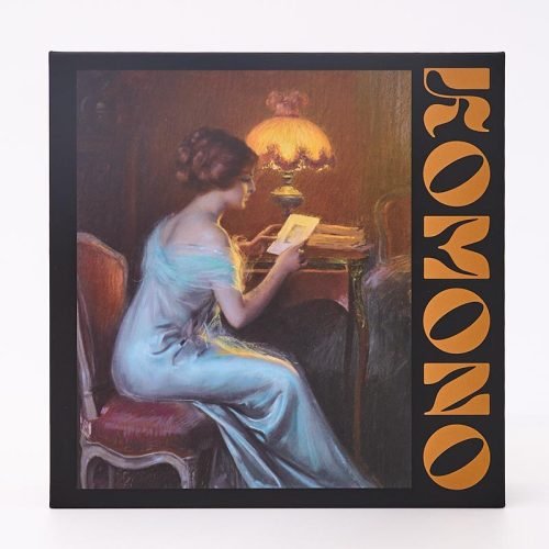 321pcs Jigsaw Puzzle-Komono-Reverie