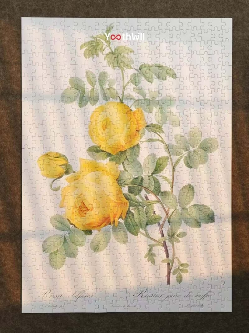 Youthwill-500pcs Jigsaw Puzzle-The Bible of Roses