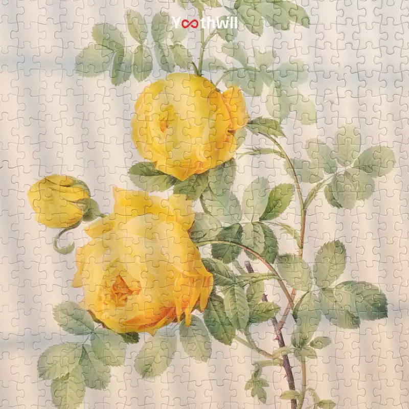 Youthwill-500pcs Jigsaw Puzzle-The Bible of Roses