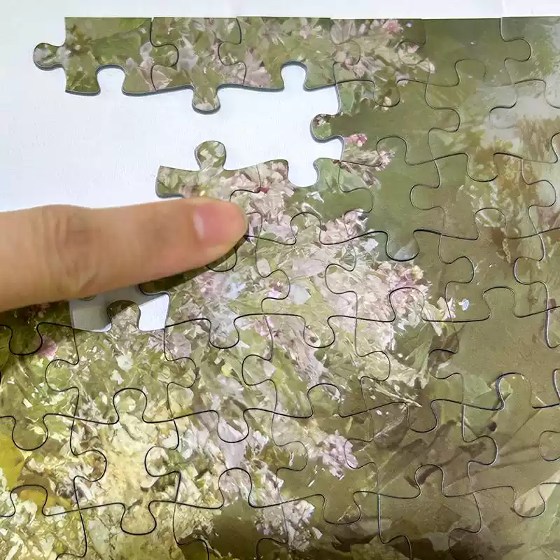 Village (2) 1000pcs Jigsaw Puzzle-PJLT-Village