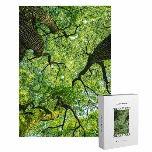 Lizzle Puzzle 500 Piece-Green Sea