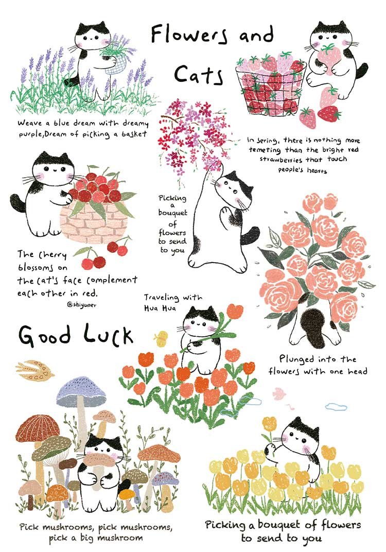 Botop Fusion-300pcs Jigsaw Puzzle-Flower Cat