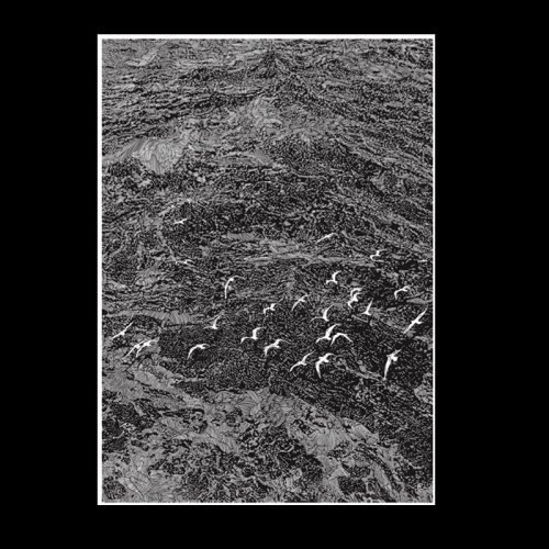 Wanlefaze-Flying Bird (1) WanLeFaZe-500pcs Jigsaw Puzzle-Flying Bird