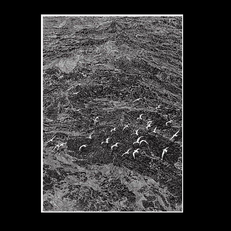 WanLeFaZe-500pcs Jigsaw Puzzle-Flying Bird