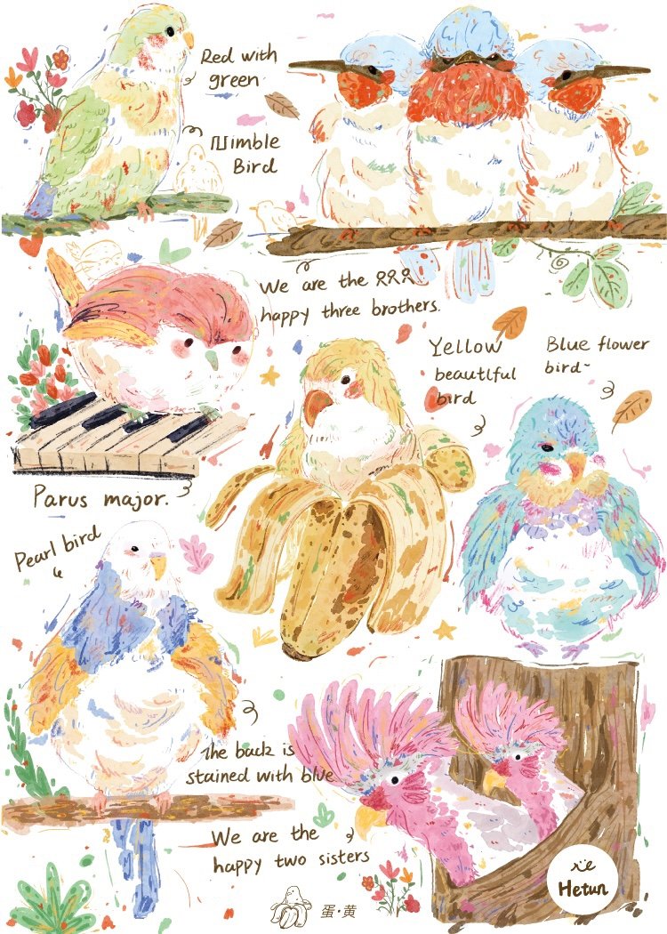 Hetun-Colorful Birds-1000pcs Jigsaw Puzzle