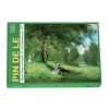 Pin De Le-500pcs Jigsaw Puzzle-Merry Company on a Summer Meadow by Arvid Mauritz Lindström