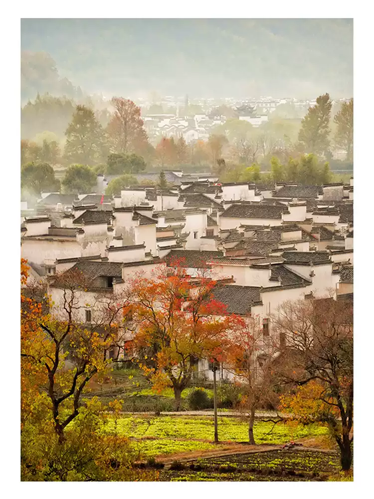 Toi-1000pcs Jigsaw Puzzle-Autumn in Southern Anhui