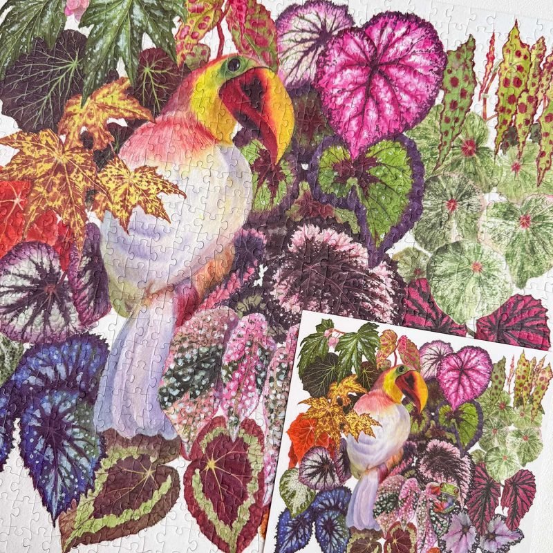 728pcs Jigsaw Puzzle-Boff-Autumn Begonia