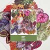 728pcs Jigsaw Puzzle-Boff-Autumn Begonia