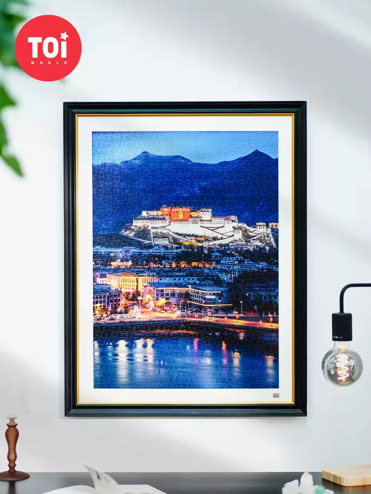 Toi-1000pcs Jigsaw Puzzle-Potala Palace