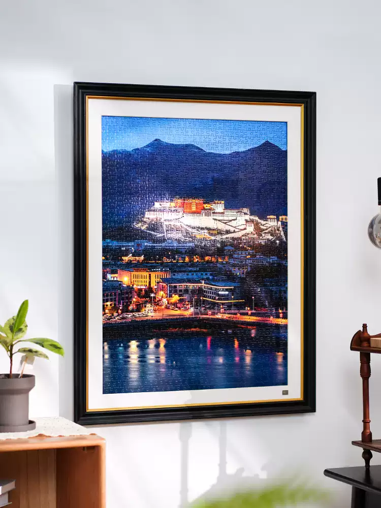 Toi-1000pcs Jigsaw Puzzle-Potala Palace