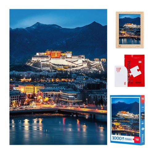 Toi-1000pcs Jigsaw Puzzle-Potala Palace