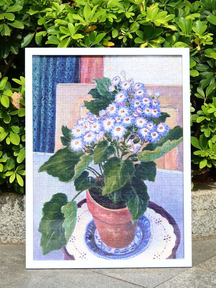 Kibifufu-Cineraria (1) Kibifufu-500pcs Jigsaw Puzzle-Cineraria