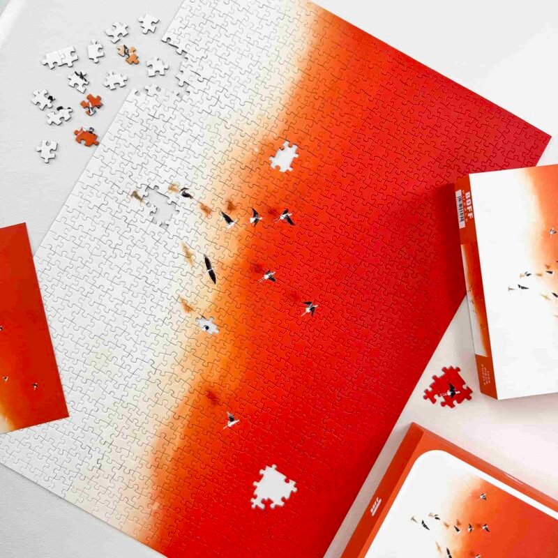 Boff-Birds (4) Boff-1000pcs Jigsaw Puzzle-Birds