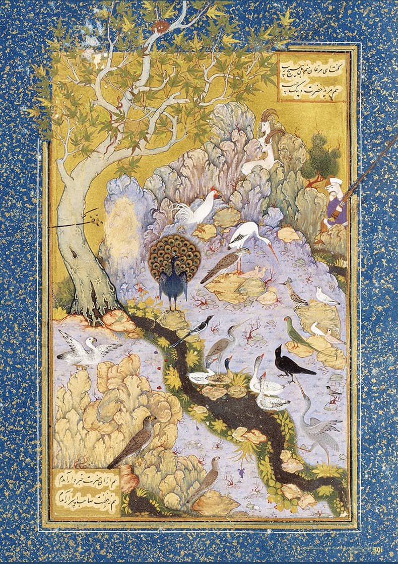 Toi-500pcs Jigsaw Puzzle-The Gathering of Birds