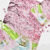 Boff-1000pcs Jigsaw Puzzle-Spring Blossom