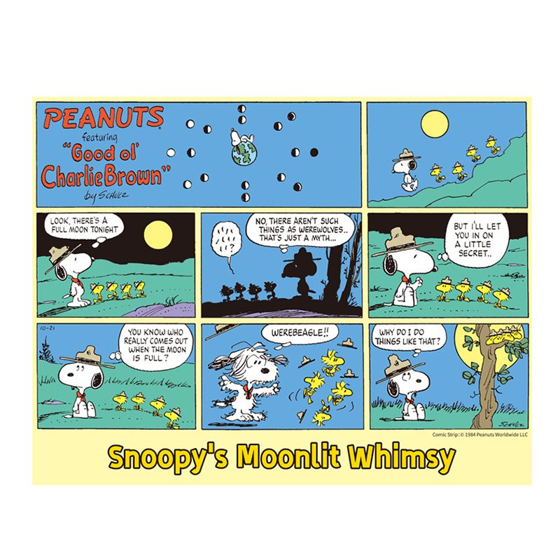 Momibook-Snoopy's Moonlit Whimsy-500 Piece Puzzle