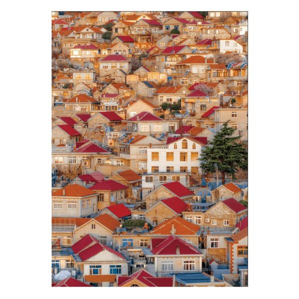 TuTuDingDang-1000 Piece-Qingshan Fishing Village