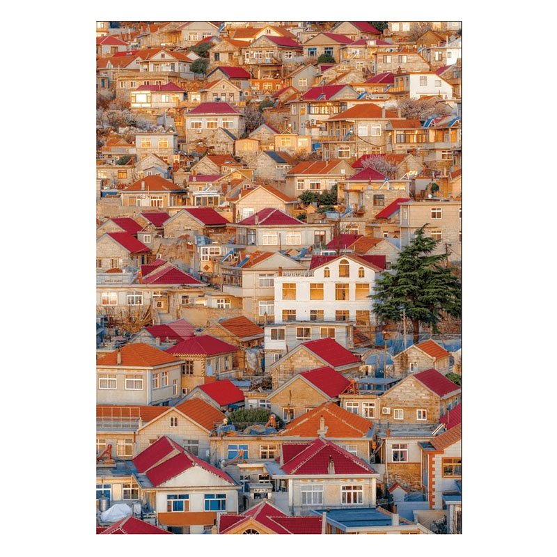 TuTuDingDang-1000 Piece-Qingshan Fishing Village