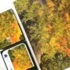 Boff-1000pcs Jigsaw Puzzle-Shadows Resting on Golden Bamboo(Extremely Hard)