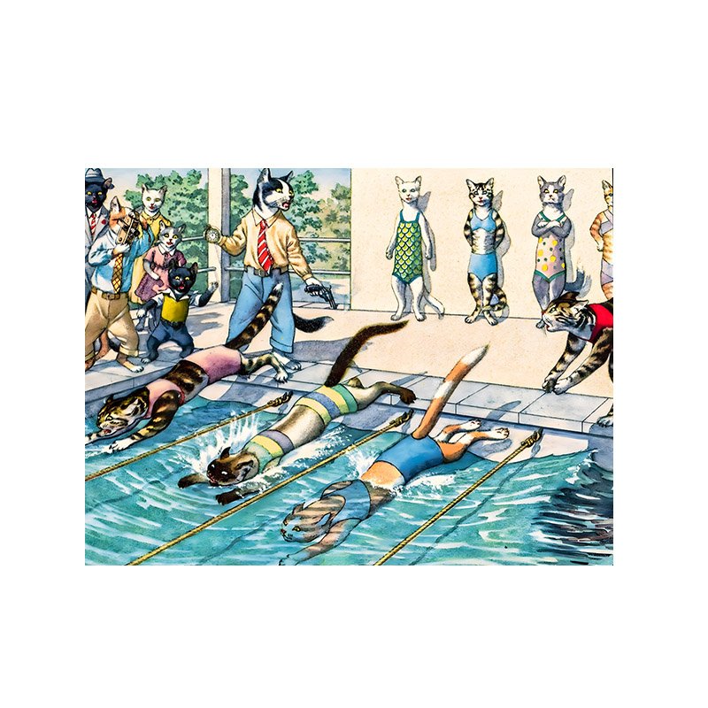 Pin De Le-Cat Swimming Race-1000pcs Jigsaw Puzzle