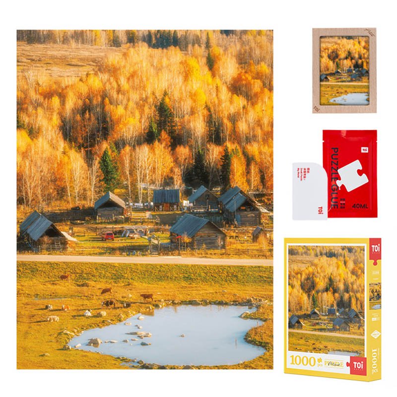 Toi-1000pcs Jigsaw Puzzle-Autumn in Hemu