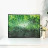 Boff-Algae Traces A Reverie (5) Boff-1000pcs Jigsaw Puzzle-Algae Traces A Reverie
