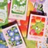 Puffinkids-Spring Date (1) Puffinkids-Spring Date-99pcs*6 Boxes