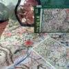 Pin De Le-Auspicious Harmony of Flowers and Birds-1000pcs Jigsaw Puzzle