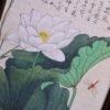 See the elephant Puzzle-Lotus Pond with Dragonfly and Kingfisher (2) See the Elephant-500pcs Jigsaw Puzzle-Lotus Pond with Dragonfly and Kingfisher