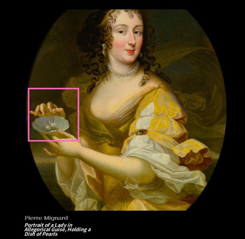 Komono-169pcs-Portrait of a Lady in Allegorical Guise, Holding A Dish of Pearls1 Komono-169pc Art Puzzle-The Fragmented Truth-Portrait of a Lady in Allegorical Guise, Holding A Dish of Pearls