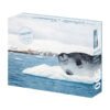Soulpuzz-500pcs Jigsaw Puzzle-Arctic Summer