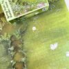 Tutudingdang-Spring Ducks by Bamboo Fence (2) TuTuDingDang-1000 Piece Puzzle-Spring Ducks by Bamboo Fence
