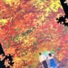 3djp Puzzle-Walking in Autumn (1) 3djp/Pintoo Jigsaw Puzzles 252pcs-Walking in Autumn