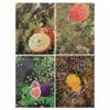 Fortune Fruits (1) TuTuDingDang-100pcs Irregular Cut Jigsaw Puzzle-Apple